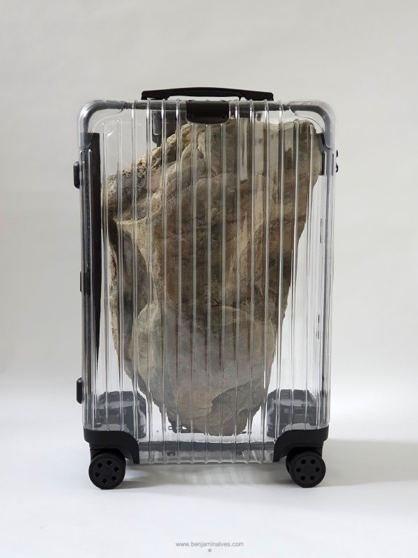 Art installation Baggage aka Weight. Stone in off-white transparent case.